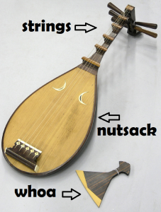 nutsack guitar